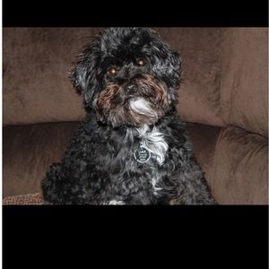 Meet your Posher, Macie
